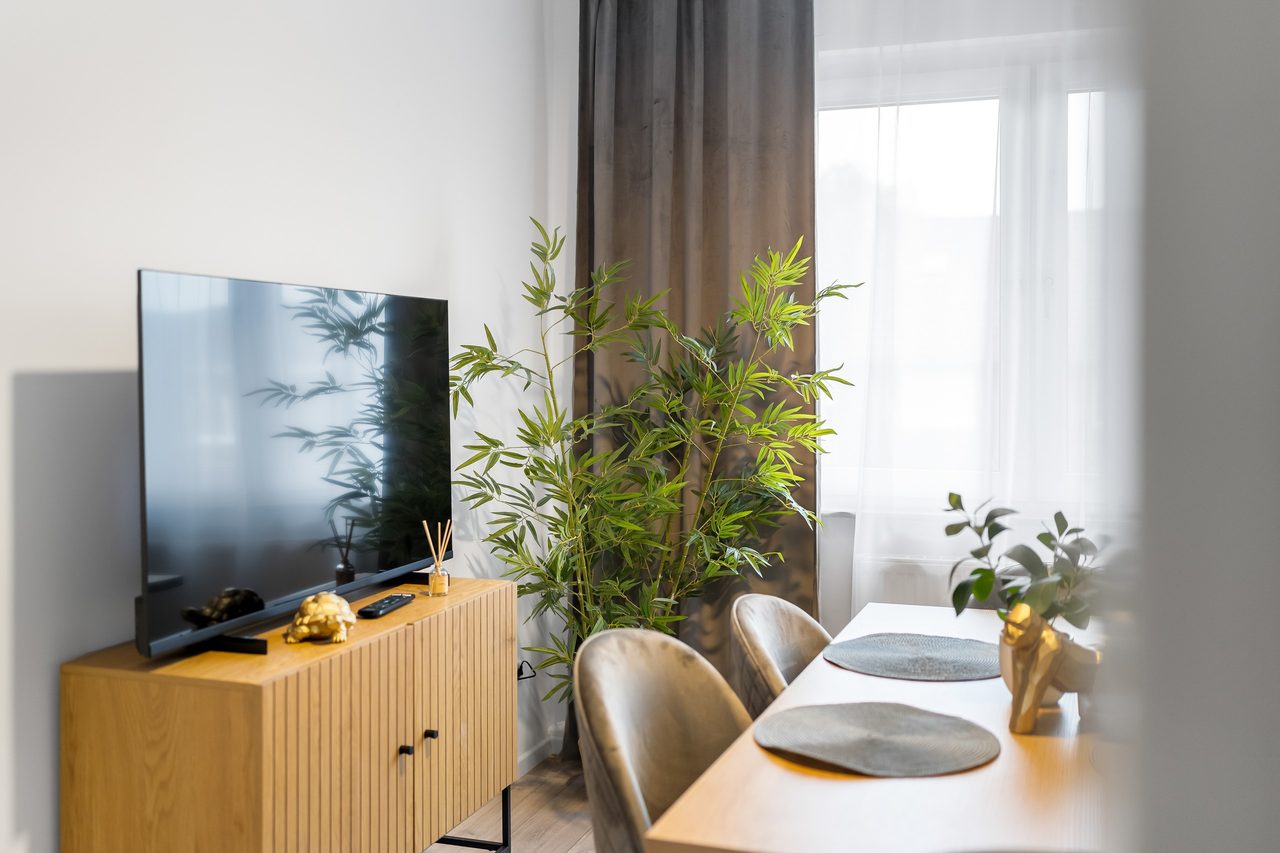 Wohnbereich mit Fernseher auf Sideboard, Bambuspflanze und Esstisch