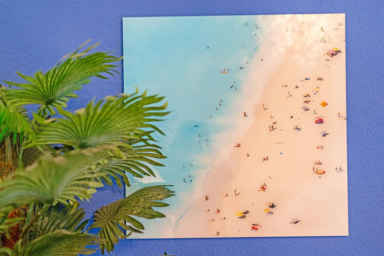 Wandbild mit Strand von oben an blauer Wand neben Palme