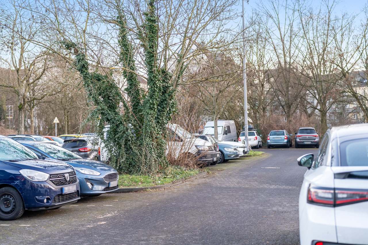 Parkplatz mit vielen Autos und kahlen Bäumen