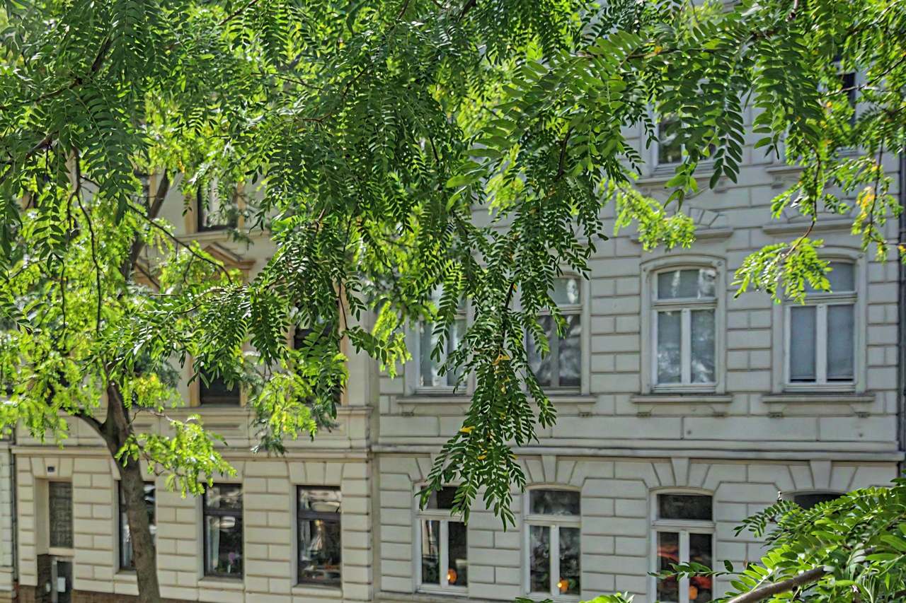 Blick auf eine helle Altbaufassade hinter grünen Baumzweigen